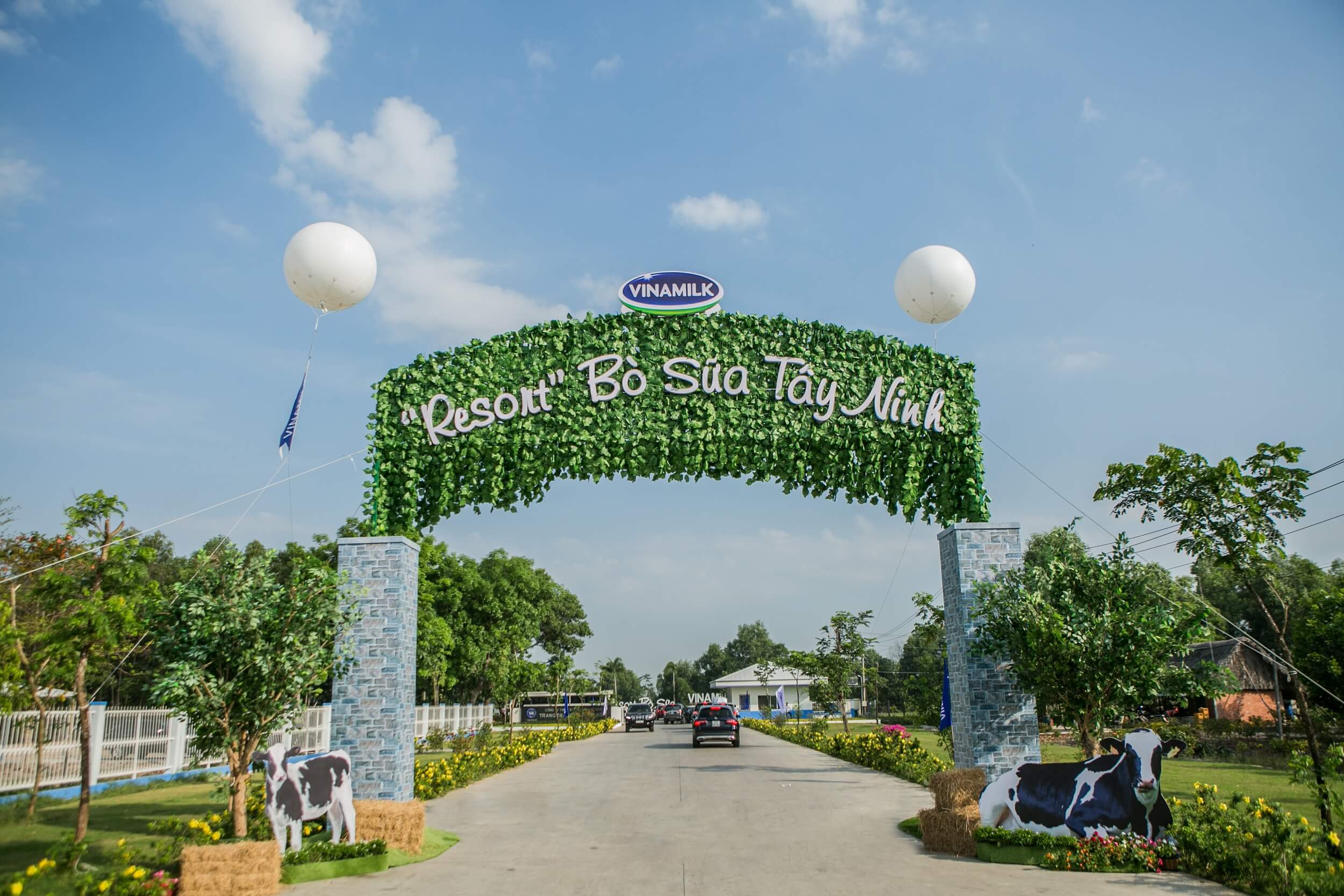 Resort bò sữa Vinamilk Tây Ninh - Ngôi nhà của những cô bò hạnh phúc 4