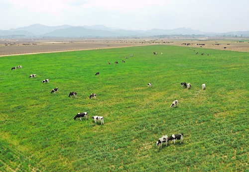 Sản phẩm thương hiệu Vinamilk được chọn mua nhiều nhất tại Việt Nam 4