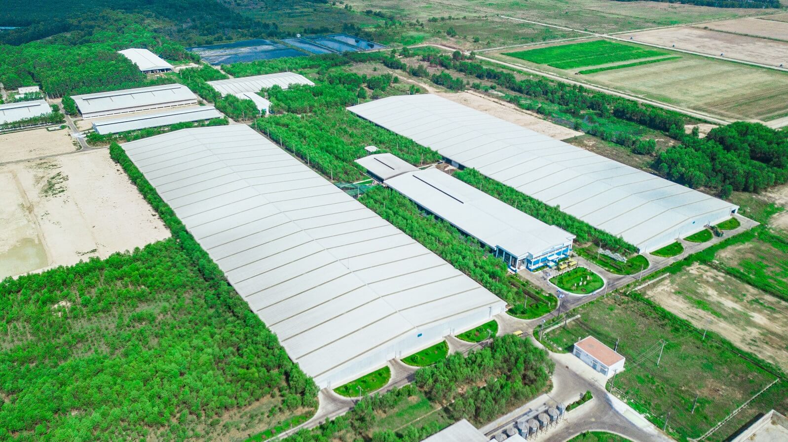 Hành trình khám phá Sữa học đường – những trải nghiệm thú vị 1