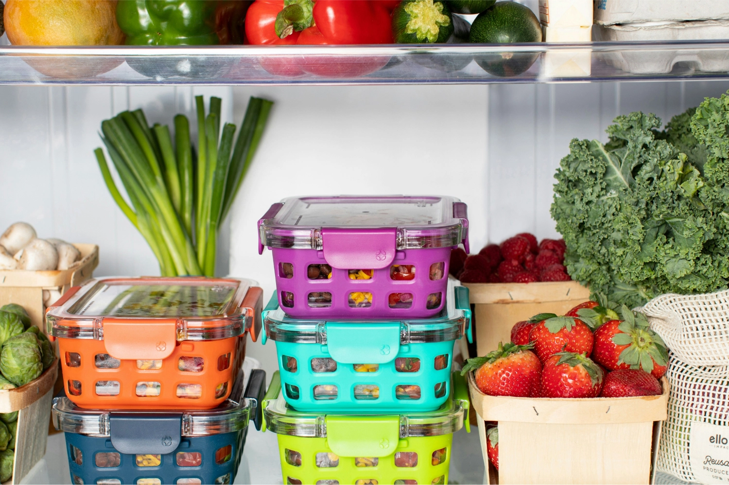 nutrition 3.webp