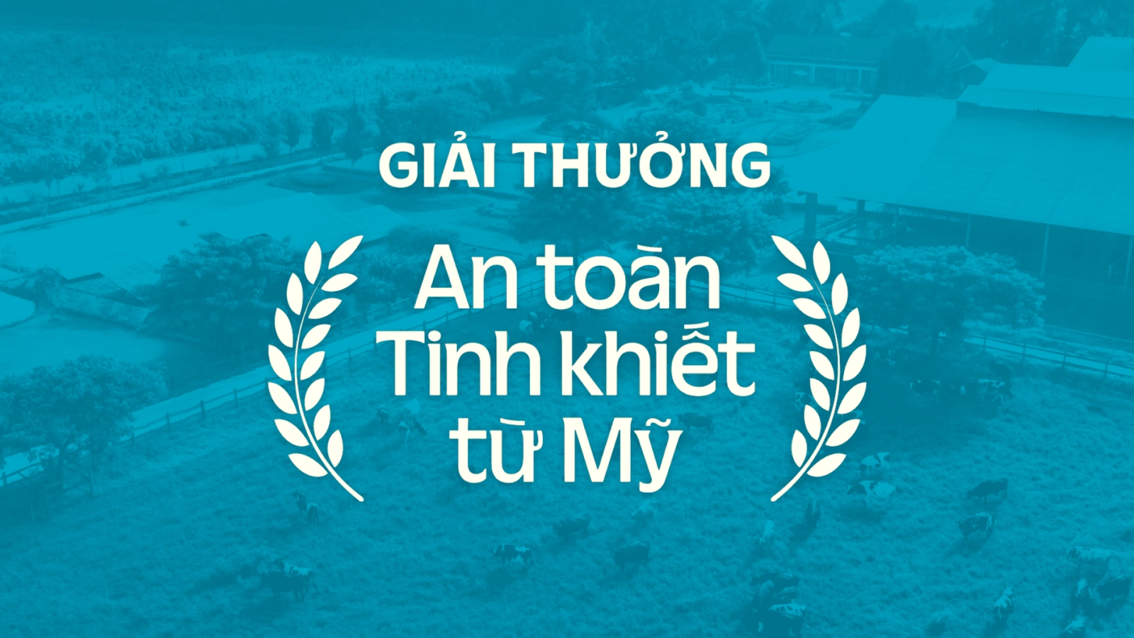 Optimum A2 Pro+ - Giải thưởng Sữa tốt nhất dành cho trẻ em 2026 hình 4