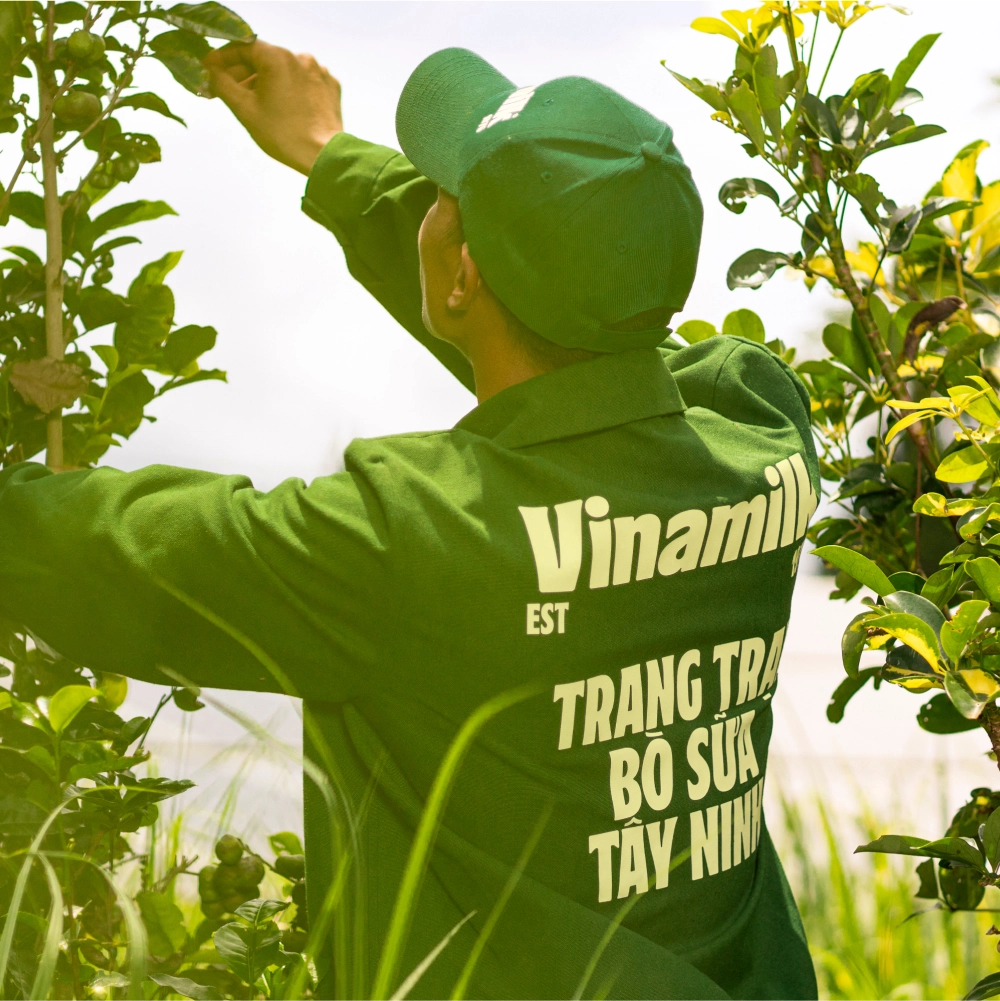 <p>Máy sấy khăn và quần áo bảo hộ lao động sử dụng năng lượng biogas</p>