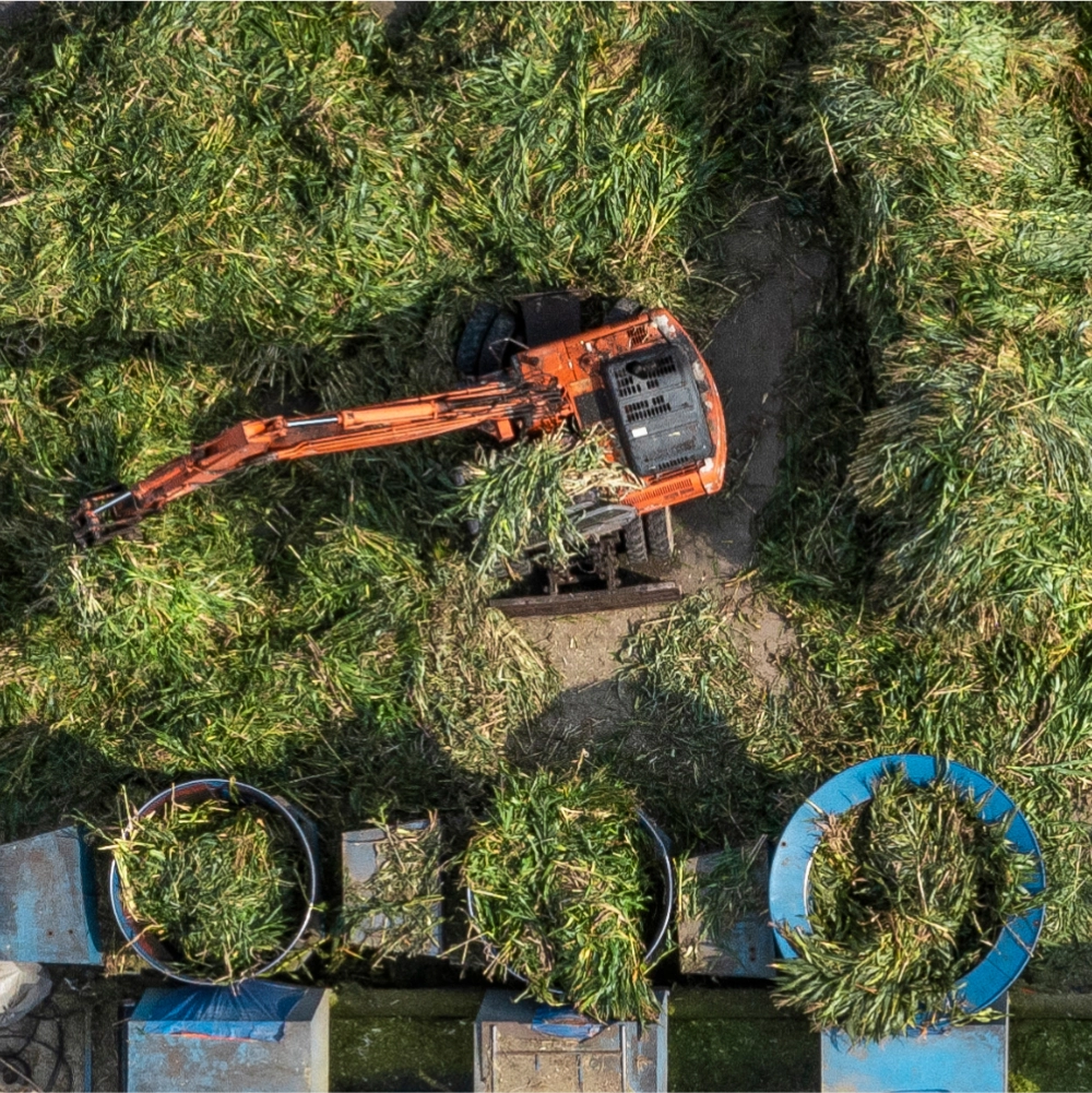 <p>Máy sấy cỏ sử dụng năng lượng biogas</p>