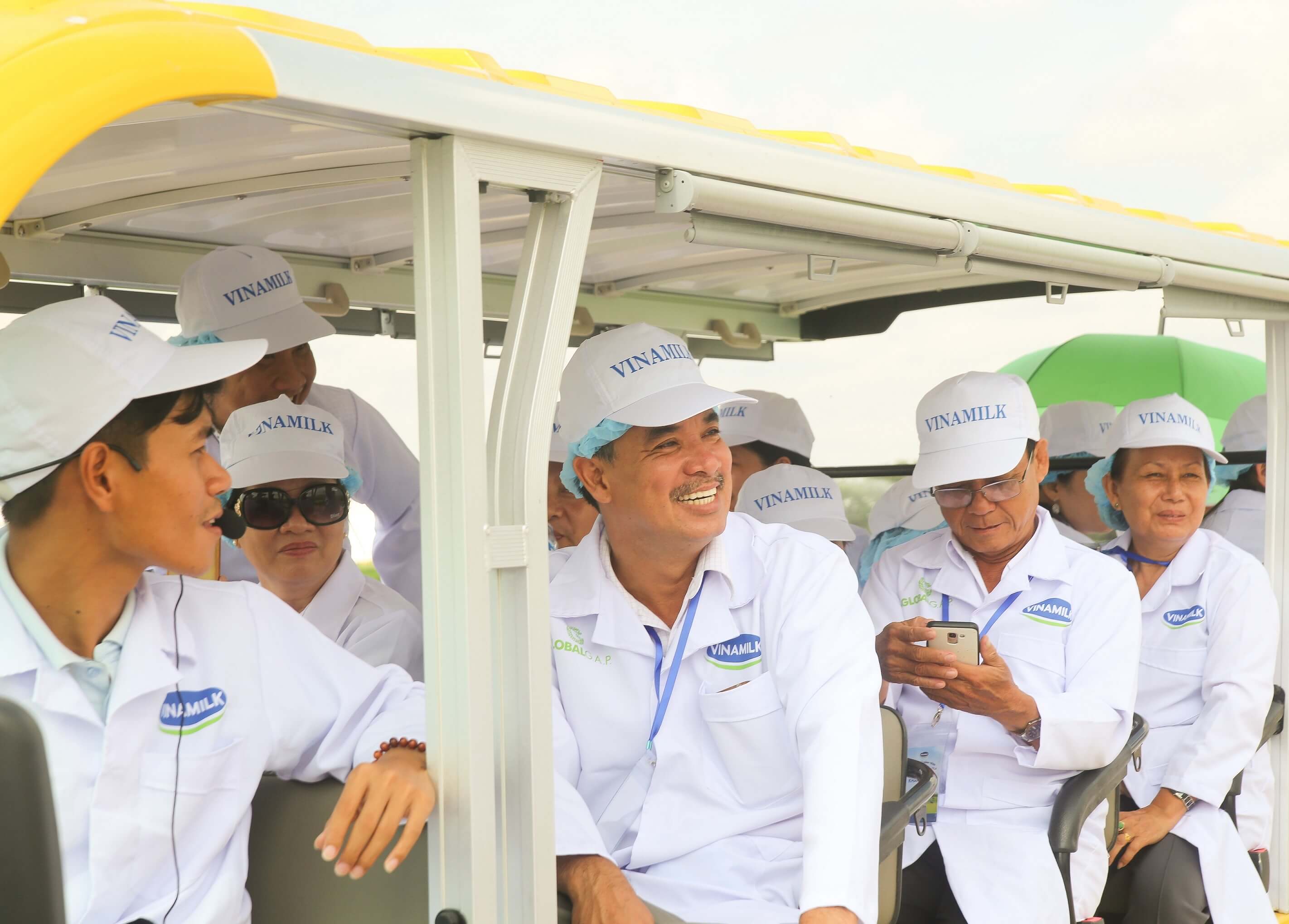 Tận mắt thấy những cô bò ở Resort góp công vào ly sữa học đường 3