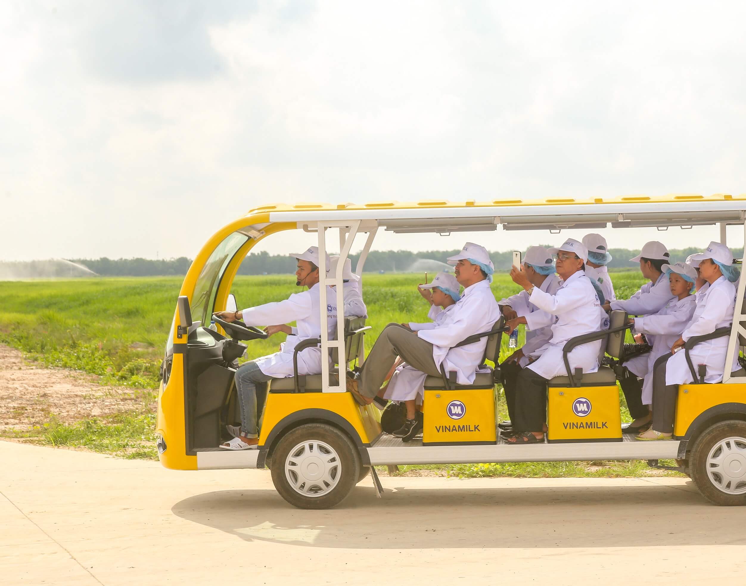 Tận mắt thấy những cô bò ở Resort góp công vào ly sữa học đường 2