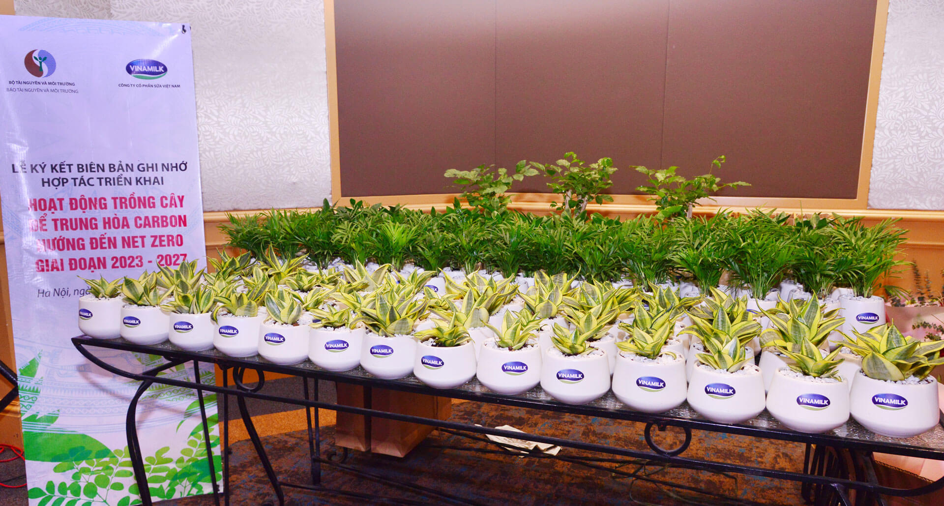 Tiếp nối thành công của quỹ 1 triệu cây xanh, Vinamilk tiếp tục trồng cây hướng đến mục tiêu Net Zero 2050 4