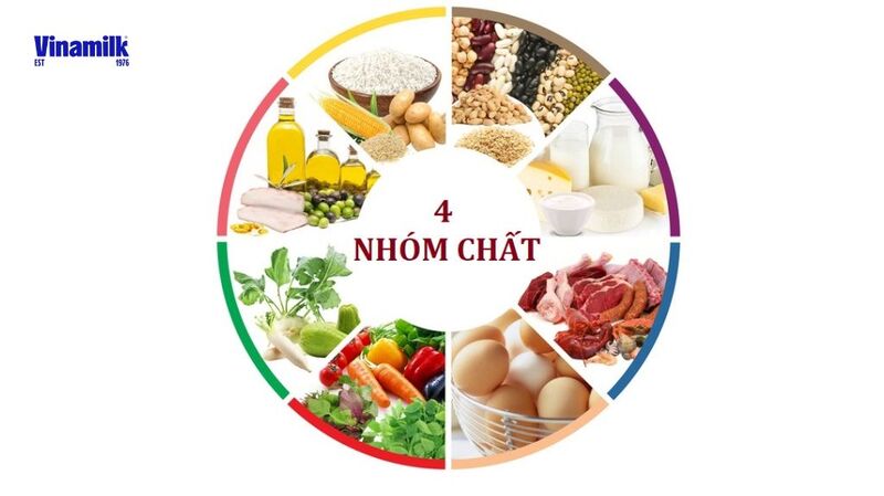 Thực đơn ăn dặm bé 6 tháng tuổi