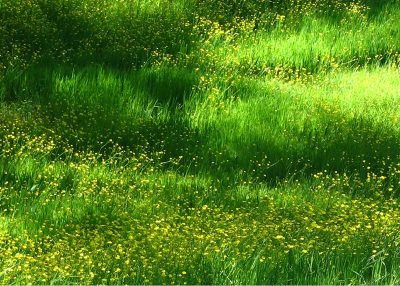 TIN VUI TRƯỚC THỀM ĐẠI HỘI – VINAMILK CÓ THÊM 1 NHÀ MÁY ĐẠT TRUNG HÒA CARBON