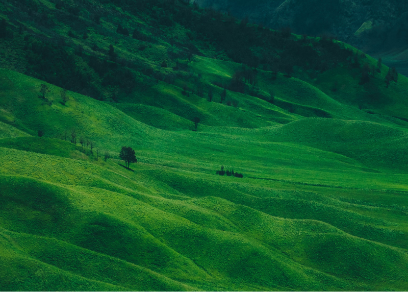 Tuyên bố giải thích đủ điều kiện (QES) – Nhà máy Nước Giải Khát Việt Nam