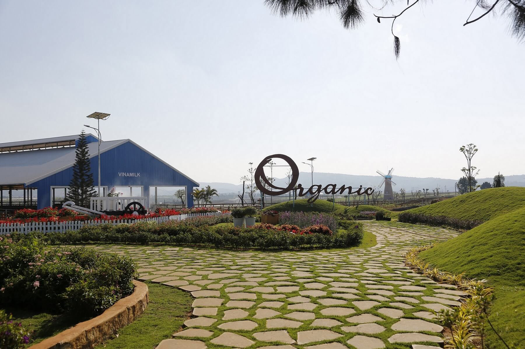 Vinamilk nhận bằng khen của thủ tướng chính phủ về phát triển tam nông bền vững 4