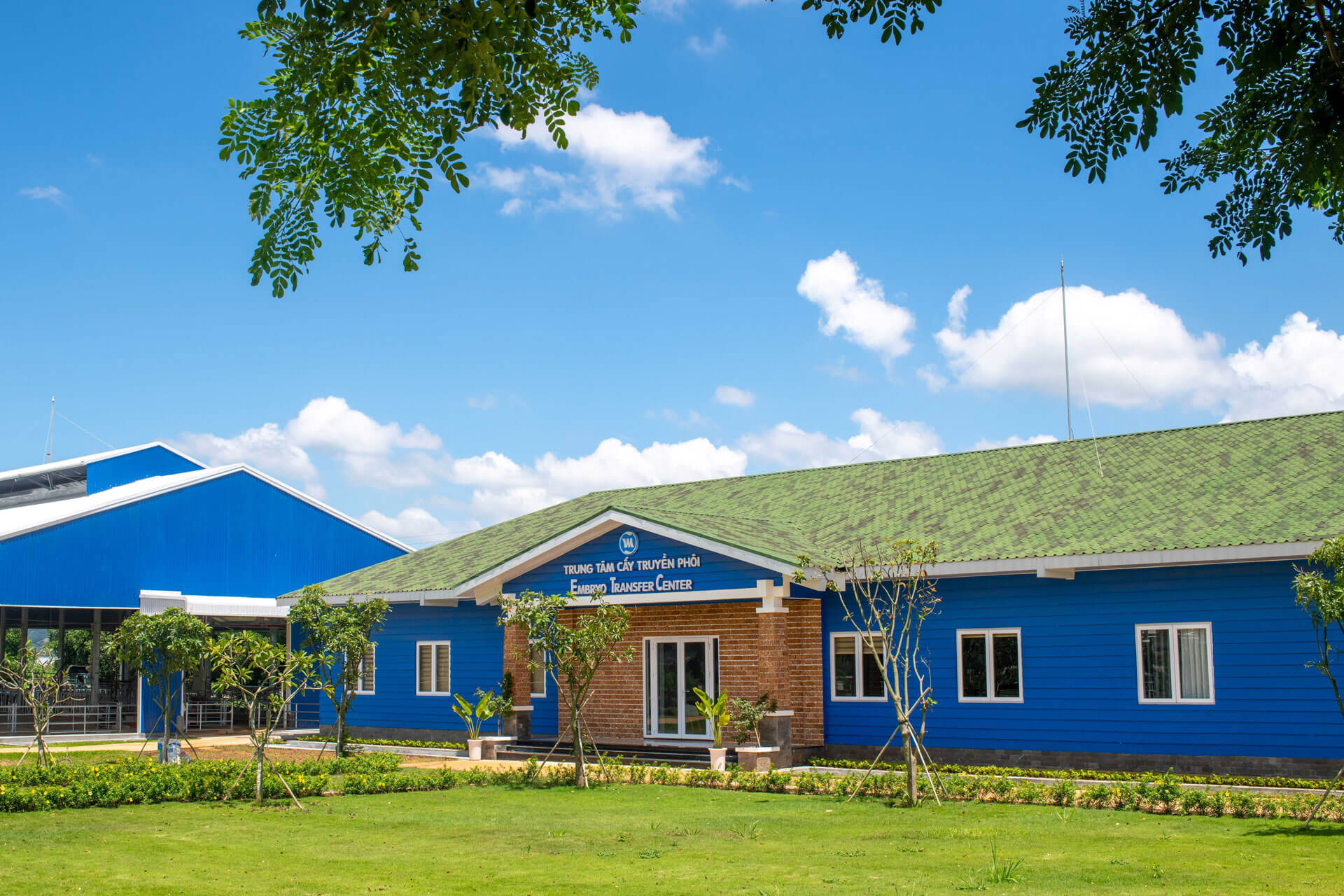 Hệ thống trang trại bò sữa Vinamilk đạt mức tăng trưởng ấn tượng 8