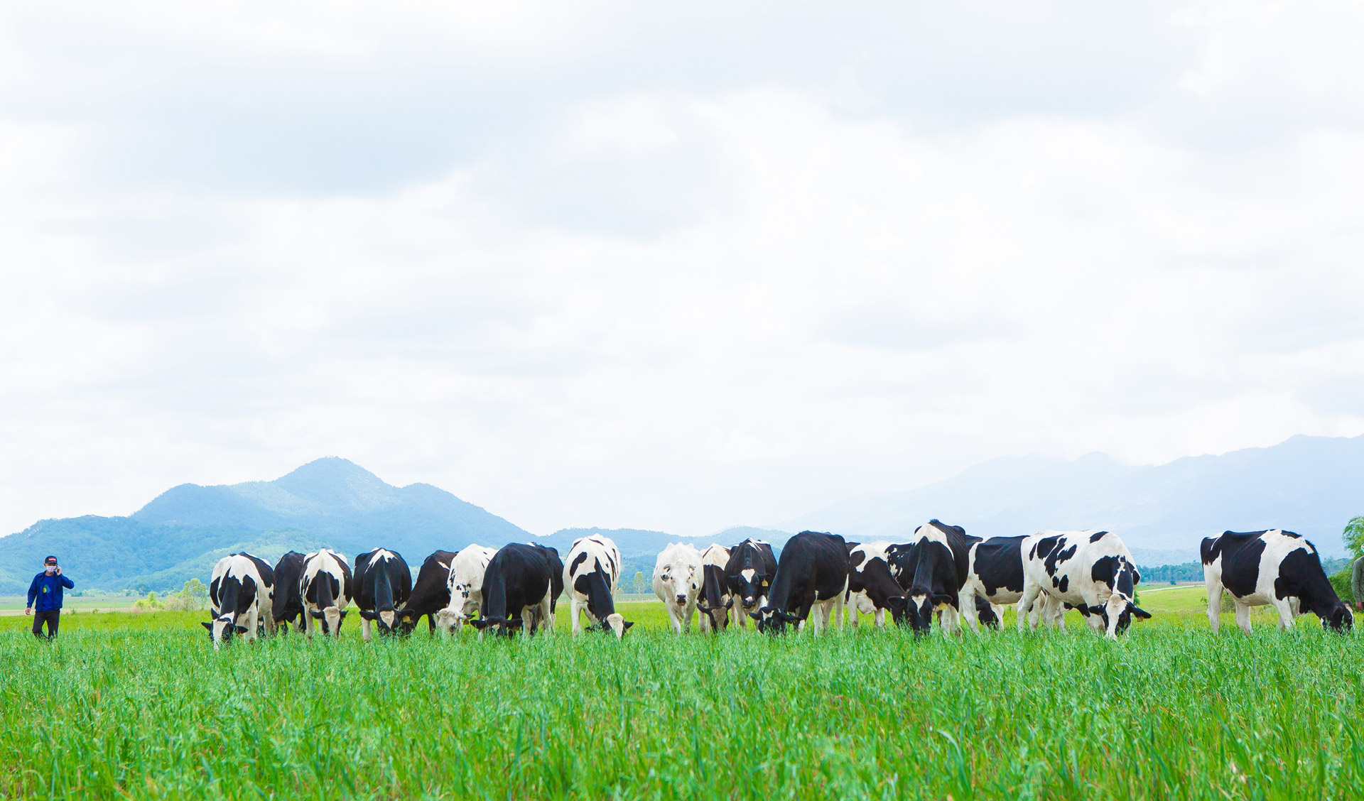 Vinamilk ra mắt sữa tươi Organic “tiêu chuẩn kép” trong triển lãm quốc tế hàng đầu tại Thượng Hải 3