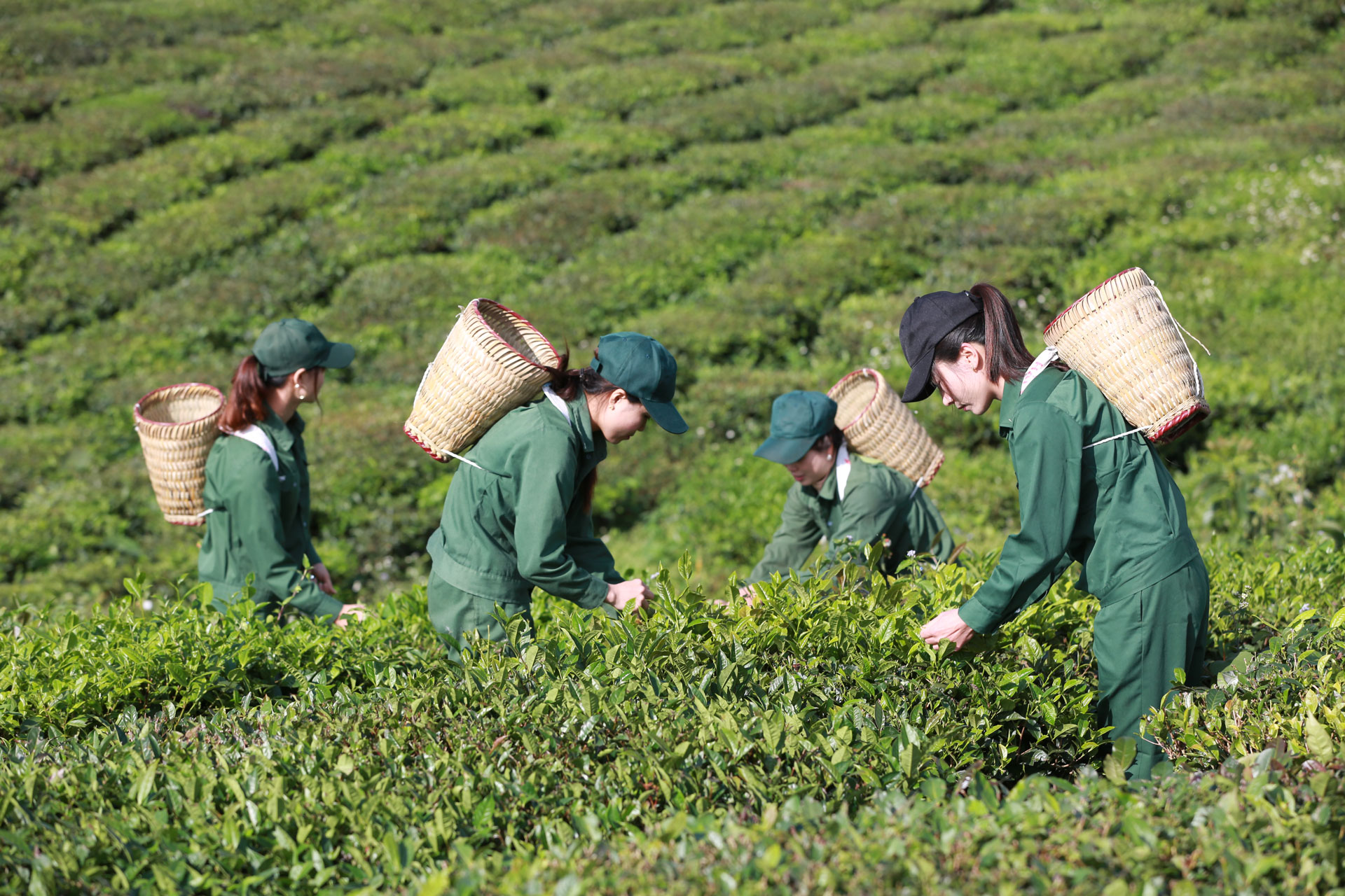 Kết quả đại hội cổ đông CTCP GTNFOODS 5