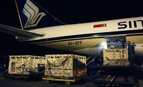 Vinamilk nhập thêm 400 bò sữa 3