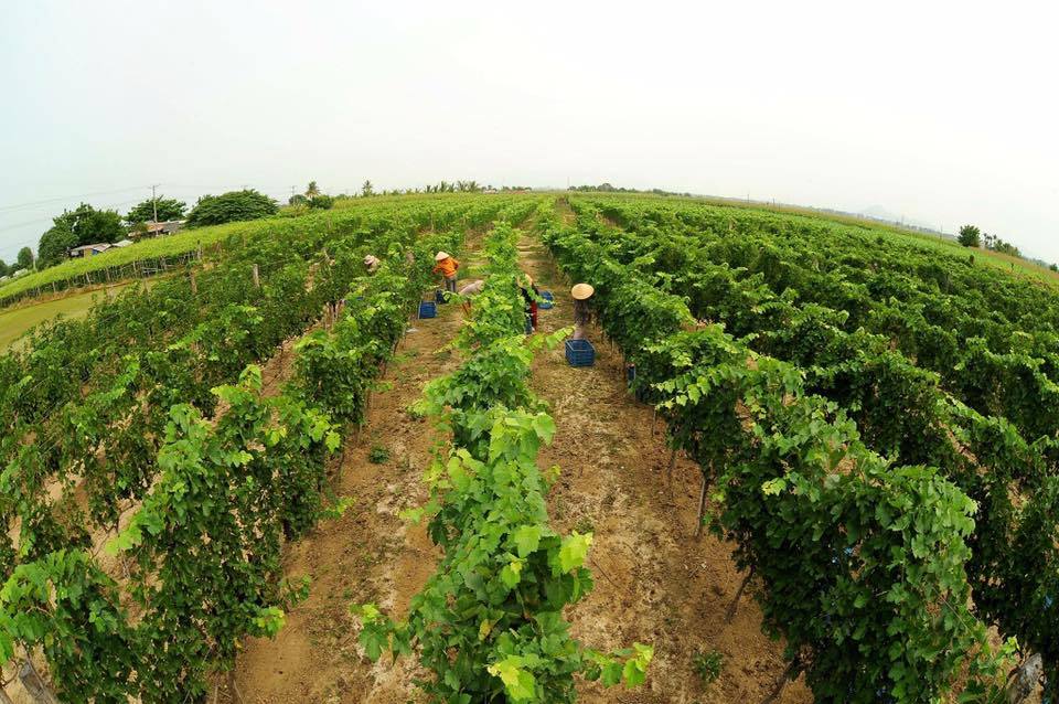 Kết quả đại hội cổ đông CTCP GTNFOODS 6